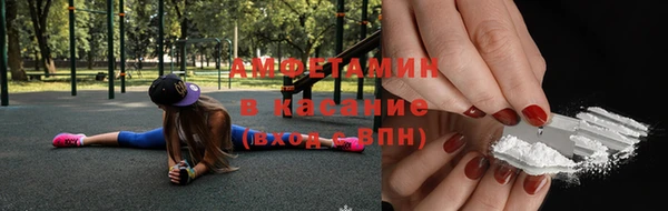гидра Михайловка