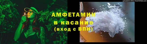 гидра Михайловка