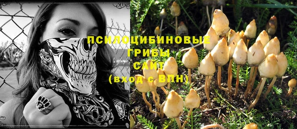 apvp Надым