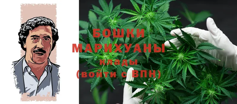 Конопля SATIVA & INDICA  Медынь 